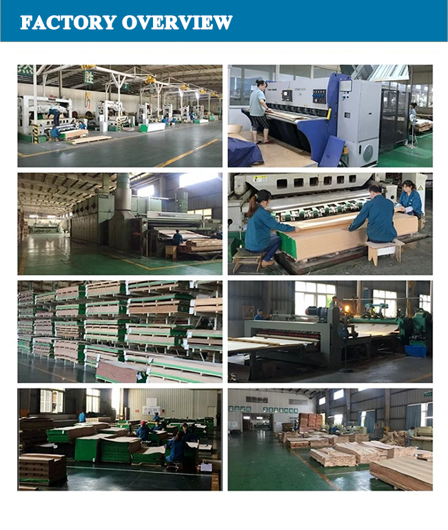 product-750-886