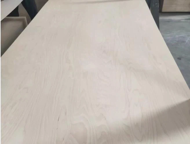 PEFC-certificeret Premium Grade 5x10' Special Size Full Birch Marine Krydsfiner