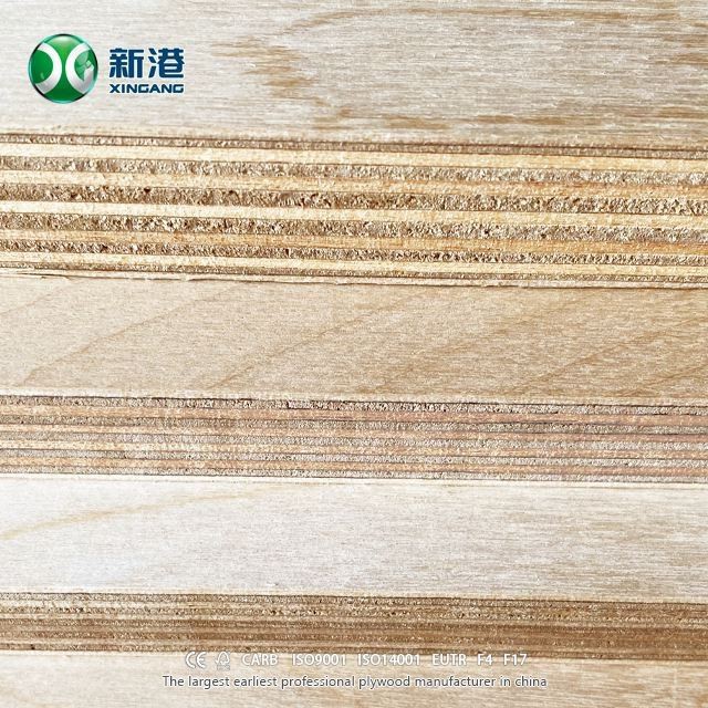 9mm 12mm 15mm 18mm Birch Plywood