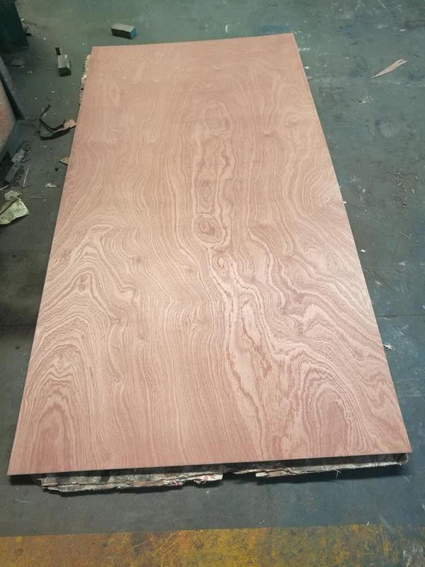 Kommerciel Krydsfiner Funiture Grade