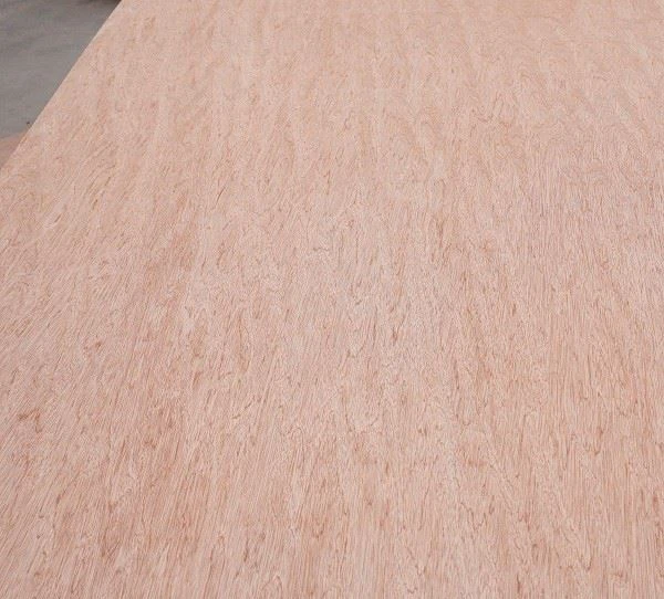 Door Skin Plywood Interior Decoration/Renovation