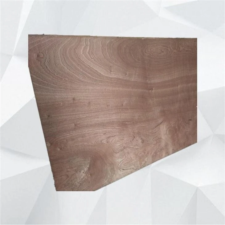 Fancy Plywood Furniture Decoration High Quality