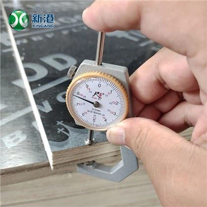 Fuld Birch Film Faced Krydsfiner