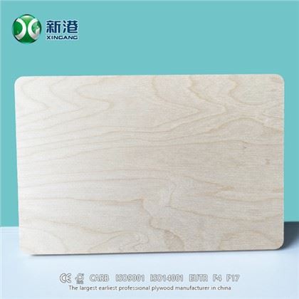 XINGANG Fuld birke krydsfiner 18mm