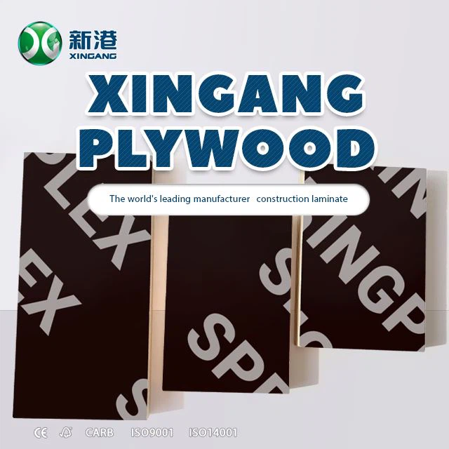 Xingang film overfor krydsfiner birk krydsfiner til konstruktion