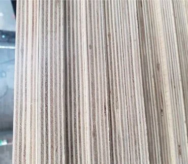 Construction Shuttering Formwork Marine Plywood 18mm Film Faced With Cheap Price Construction Hot Sale Pressure Treated 18mm