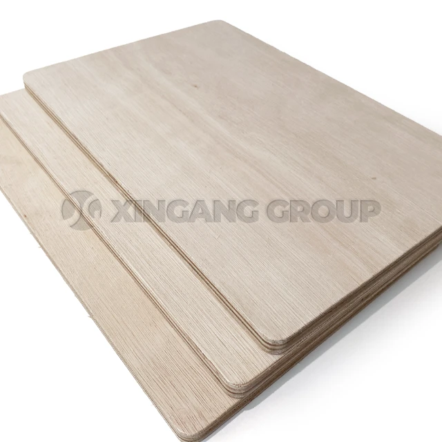 Commercial Plywood20241207