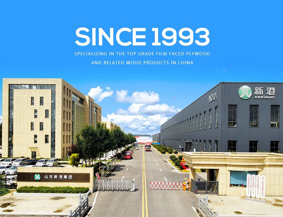 Shandong Xingang Gruppe