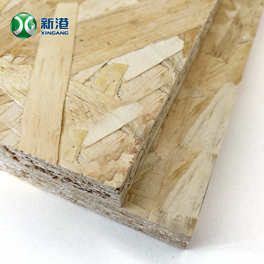 Particle Board20241206